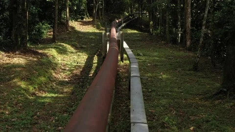Flying over a rusted brown red oil pipe in the amazon rain forest Vidéo 142746228
