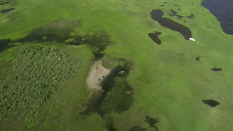 Flying over saltgrass in a tidal marsh at high tide, Galveston Island, Texas Stock Footage 129201283