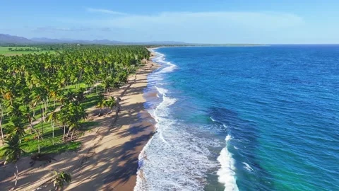 Flying over a sandy beach with bright palm trees and a clear blue ocean. Vidéo 251778886