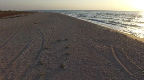 Flying over sandy beach Video stock 68158319