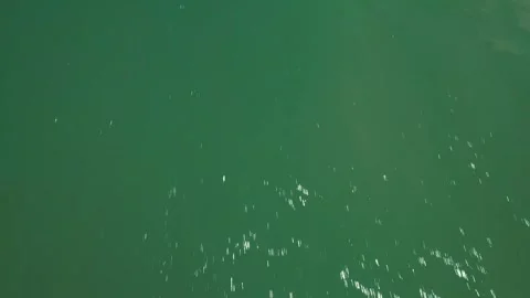 Flying over sandy Beach green waters1 Video stock 256680865
