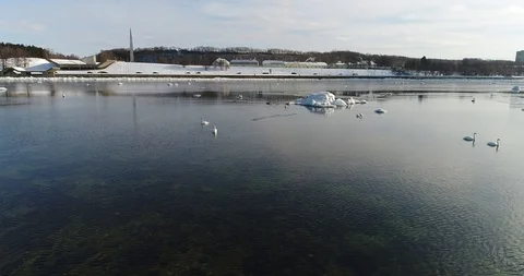 Flying over sandy beach with rolling waves and drifting ice floes in winter sea. Video stock 86700043