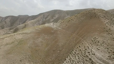 Flying over &amp; scaring herd of sheep on slopes of Wadi Qelt. Israel. DJI-0182-04 Stock Footage 124442967