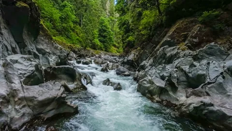 Flying over a scenic mountain river surrounded by a forest of lush green trees Stock Footage 245672364
