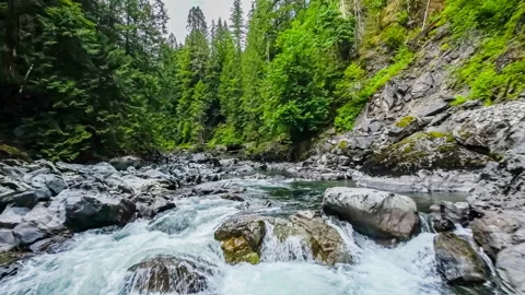 Flying over a scenic mountain river surrounded by a forest of lush green trees Stock Footage 246148973