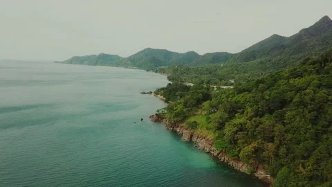 Flying over the sea and mountain palm forest Stock Footage 174591083