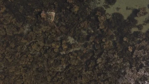 Flying over shallow water Stock Footage 92941354