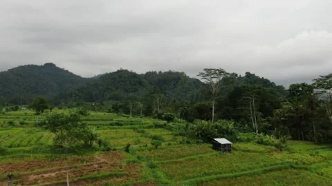 Flying over Sidemen fields Stock Footage 303574154