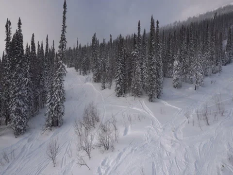 Flying over the slopes Stock Footage 70925265