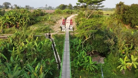 Flying Over a Small Cable-Stayed Bridge in Java. Stock Footage 339306631