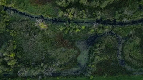 Flying over a small green river topdown Stock Footage 262525329