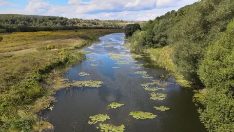 Flying over a small lake at low altitude in the summer Stock-Footage 254068708