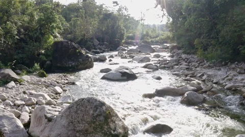 Flying over a small river with clear water on a sunny day with sun flares Stock Footage 169916589
