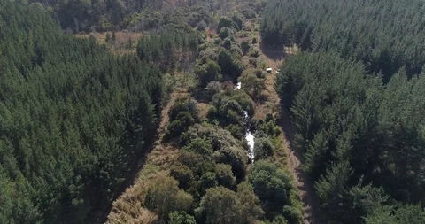 Flying over a small river Stock Footage 124858902
