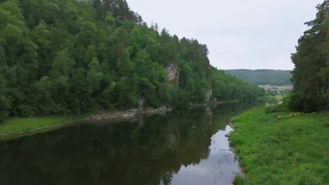 Flying over the small river in the wild nature Stock Footage 246581293