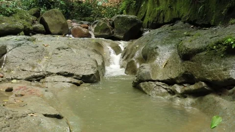 Flying over a small tropical stream with dark water and small cascades Stock Footage 142752339