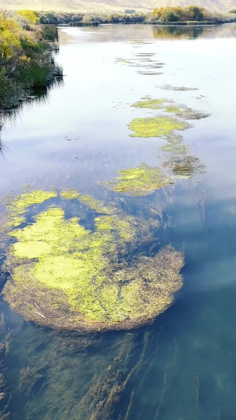 Flying over the Snake River Muck Pads outside Hammett Idaho 9x16 Vidéo 338312195