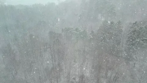 Flying over a Snow Blizzard in Nordic Forest During Winter Season, Aerial Stock Footage 344299323