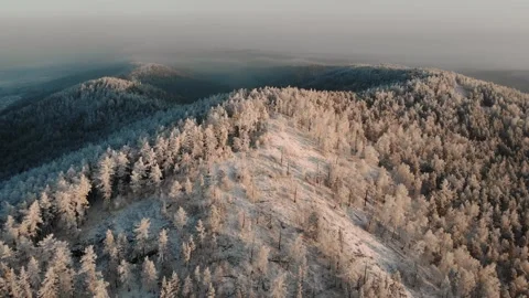 Flying over snow covered forest in mountains Stock Footage 144237201