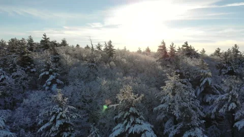 Flying Over Snow Covered Forest with Lens Flare Stock-Footage 235101544