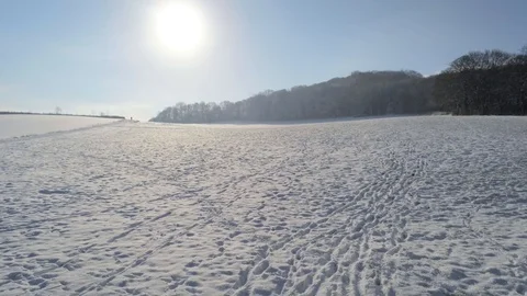 Flying over snow covered meadows and forest at sunny and beautiful winter day Stock Footage 103263312