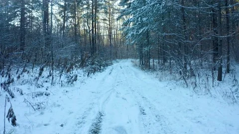 Flying over a snow-covered path in the forest, slow movement among the branches Stock Footage 165328205