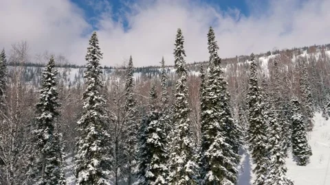 Flying Over Snow Covered Pine Forest In The Mountains In Winter Stock Footage 152123509
