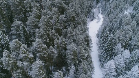 Flying over the snow-covered river and forest Stock Footage 94167220