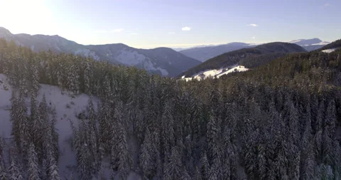 Flying over snow covered tree tops in South Tyrol. Beautiful Landscape Stock Footage 151495177