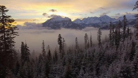 Flying Over Snow Covered trees in the Mountains.  Winter Landscape Stock Footage 87097810