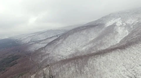 Flying over snow forest Stock Footage 61420277