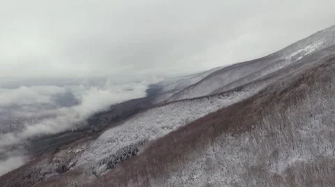 Flying over snow forest Stock Footage 61420909