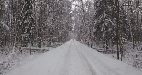 Flying over Snow Road in Russian Forest Video stock 86255124