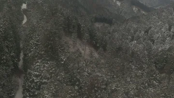 Flying over the snow tree in winter Stock Footage 86166010