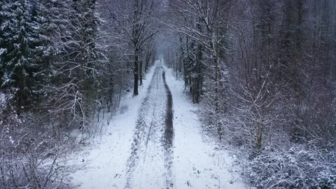 Flying over snowy Footpath in Winter Forest 2 Stock Footage 146776623