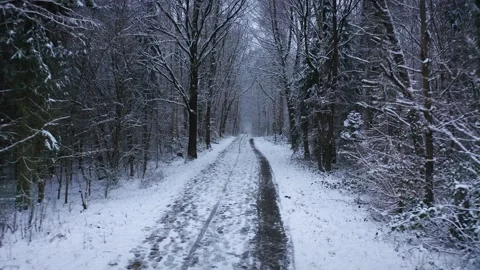 Flying over snowy Footpath in Winter Forest 1 Stock Footage 146777324