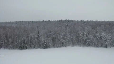 Flying over the snowy forest 스톡 동영상 102649397