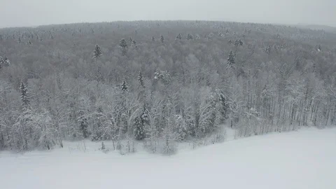 Flying over the snowy forest 스톡 동영상 102662404