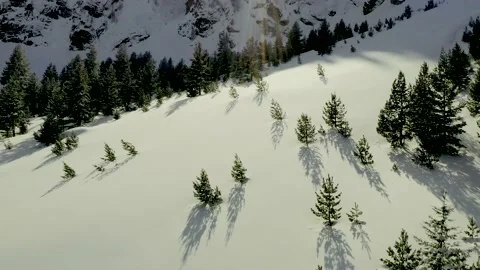 Flying over Snowy Pine Trees Video stock 148950494