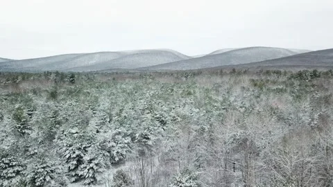 Flying Over Snowy Trees Towards Mountains Stock Footage 295006488