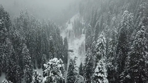 Flying Over A Snowy Winter Forest On a Cloudy day Stock-Footage 112499302