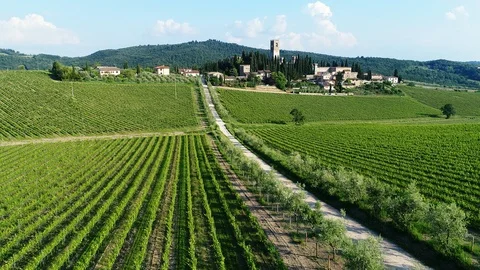 Flying over a spacious vineyard in Chianti region, Tuscany, Italy Stock Footage 91116938