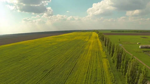 Flying over the spring field and the highway with cars. Aerial. Stock Footage 37669588