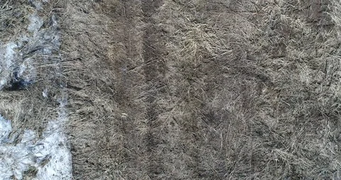 Flying over the spring field with tracks Stock Footage 106654459