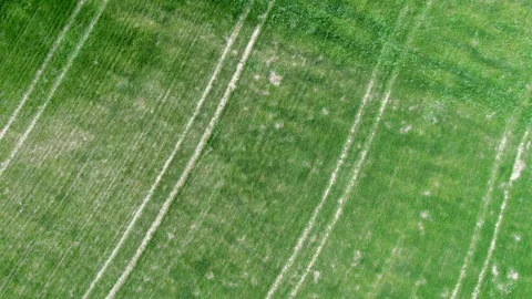 Flying over a spring field with tracks Stock Footage 274425477