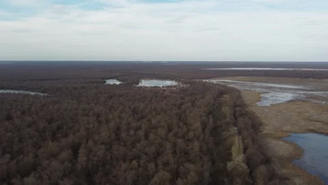 Flying over the spring forest. The trees are still leafless. Landscape, aer.. Stock Footage 266910450