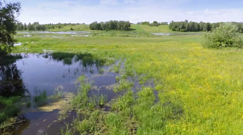 Flying over the spring river Stockbeeldmateriaal 39591688