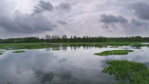 Flying over the spring river Stock Footage 100662638