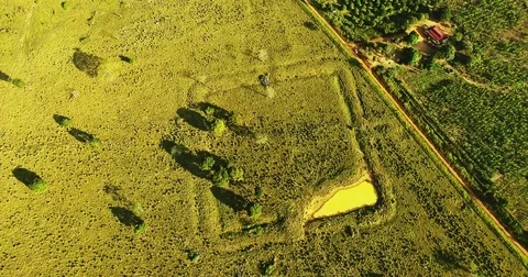 Flying over square geoglyph in Amazon rainforest Stock Footage 76976060