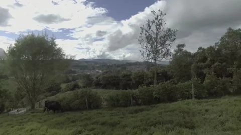 Flying over the steep hill Stock Footage 220367429